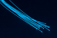 Blue plastic fiber